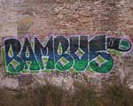 BAMBUS