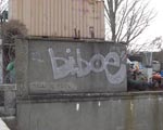 BIBO