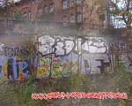 BIOK