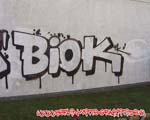 BIOK