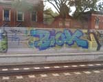 BIOK