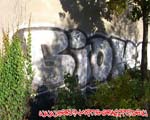 BIOK