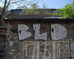 BLOOD