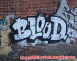 BLOOD
