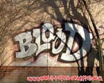 BLOOD