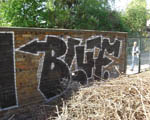 BLUFF
