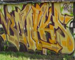 BONKS