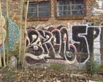 BROA