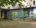 BROA