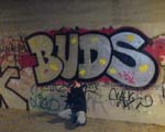 BUDS