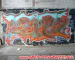 BYRS
