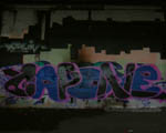CaPON