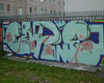 CaPON