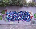CaSh 127