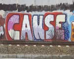 CAUSE