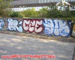 CEE