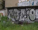CEE