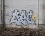 CEE