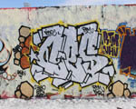 CES