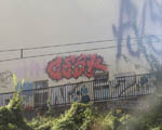 ZESK