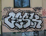 ZESK