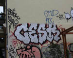 ZESK