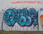 CLINT (MITTE)