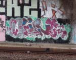 CLINT