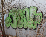 CLINT