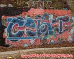 COST