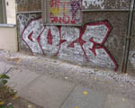 COZE