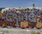 CRIME