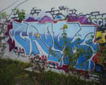 CROOK