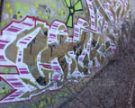 CTEK