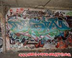DASIF