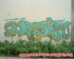 DASIF