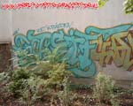DASIF