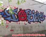 DASIF