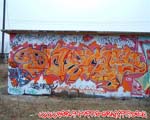 DASIF
