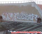 DASIF