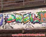 DASK