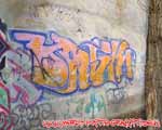 DASK