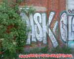 DASK