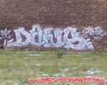 DAWS