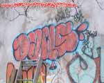 DAWS (MITTE)