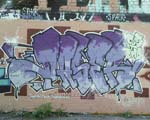 DASER