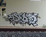 DEOS