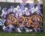 DESM