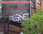 DISNE