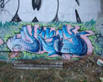 DISS